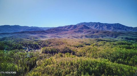 Tiny photo for 1614 Lake Drive, Gatlinburg, TN 37738 (MLS # 1335560)