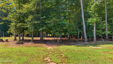 Tiny photo for 1036 Stokley Court, Dandridge, TN 37725 (MLS # 1356149)