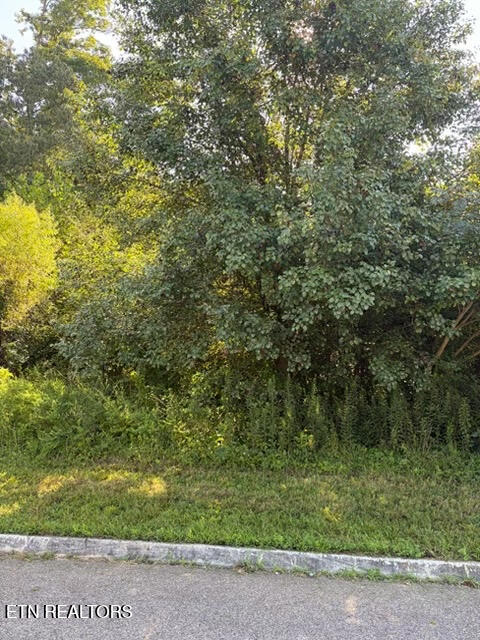 7659 Pennyroyal Drive