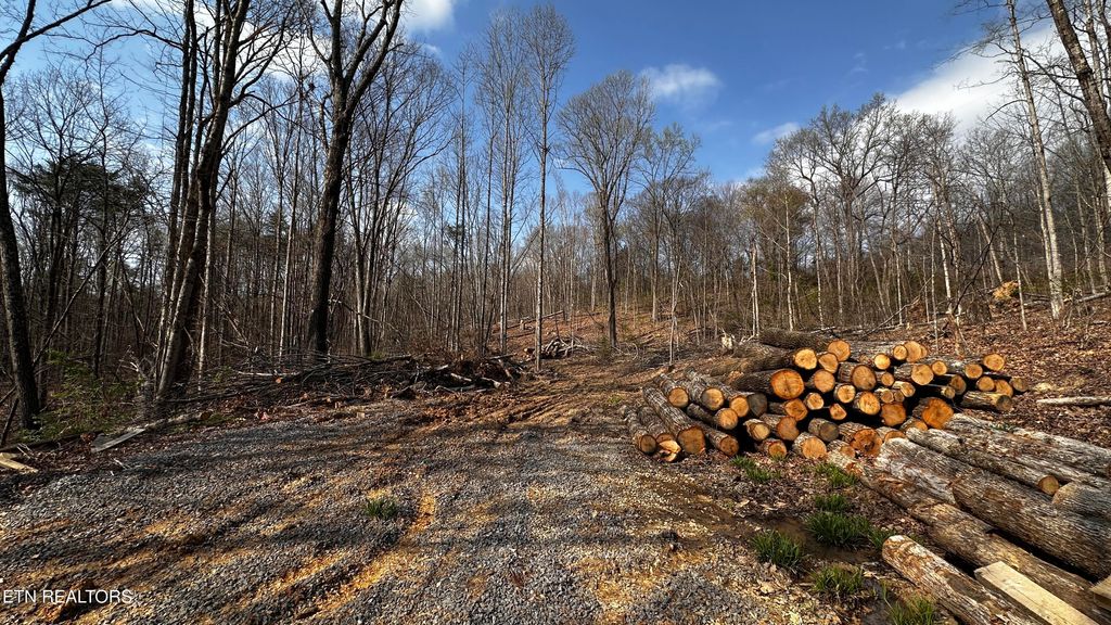 Photo of 3234 S Davy Crockett Pkwy, Morristown, TN 37813 (MLS # 1334334)