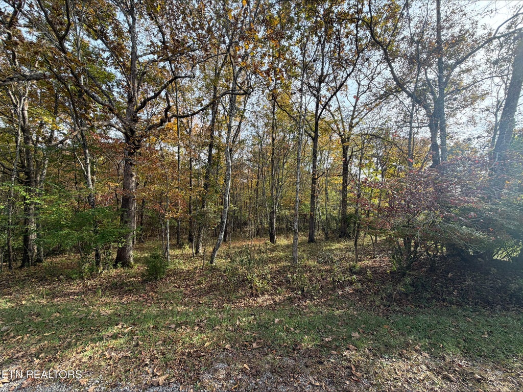 Photo of 107 Winslow Lane, Fairfield Glade, TN 38558 (MLS # 1360132)