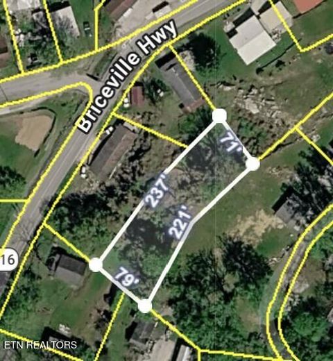 Photo of 103 Circle Cemetery Rd, Briceville, TN 37710 (MLS # 1332994)