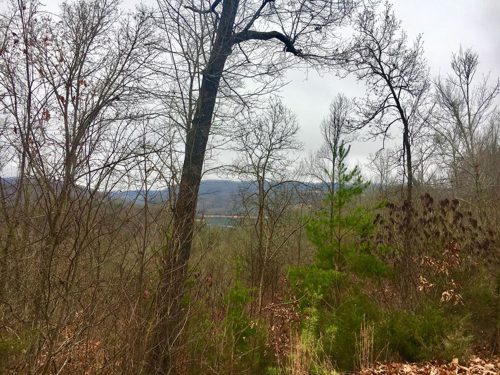 Photo of Lot 238 Tanzanite, New Tazewell, TN 37825 (MLS # 1076069)
