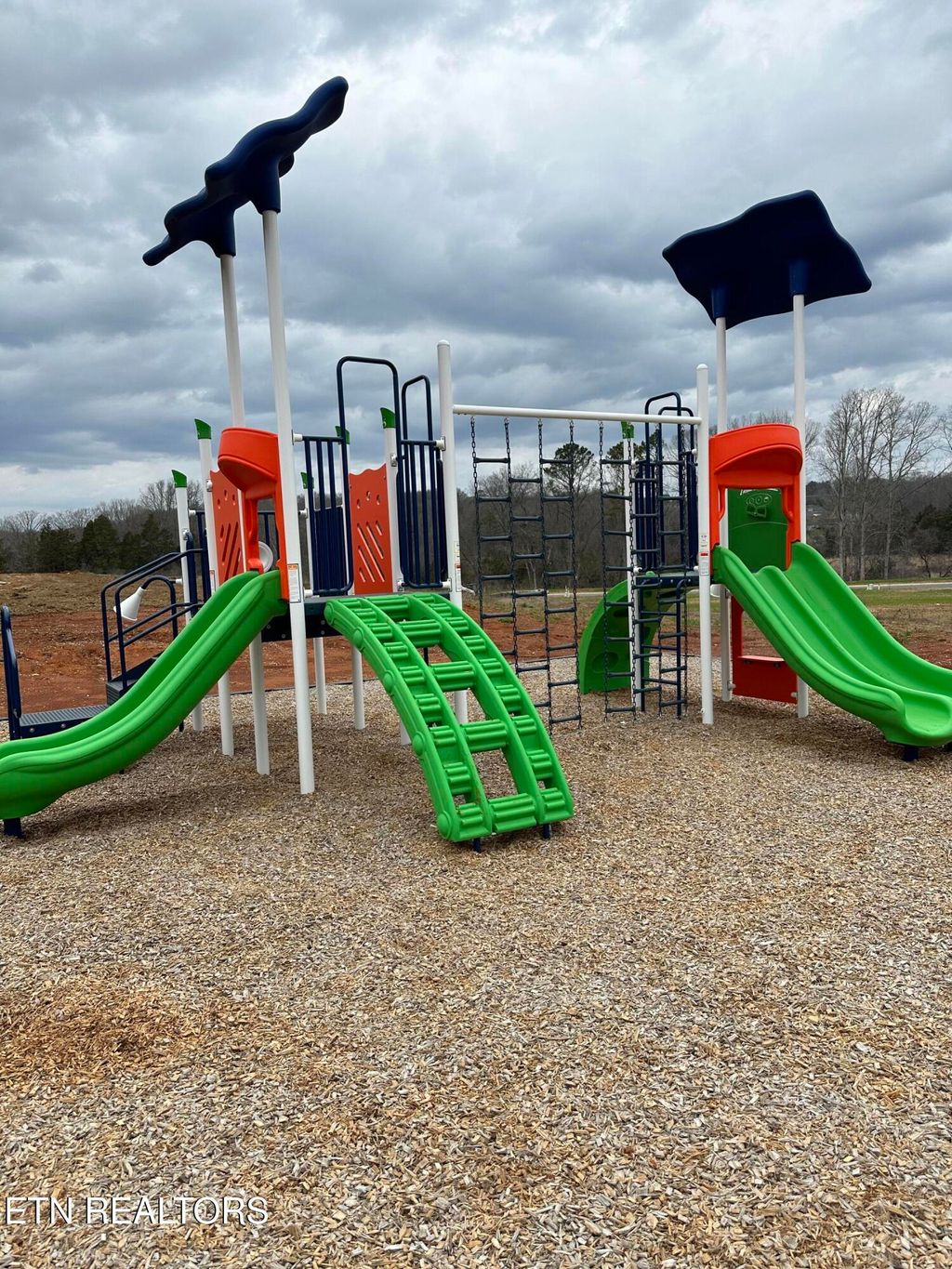 Photo of 8030 Tree Line Lane, Corryton, TN 37721 (MLS # 1279626)