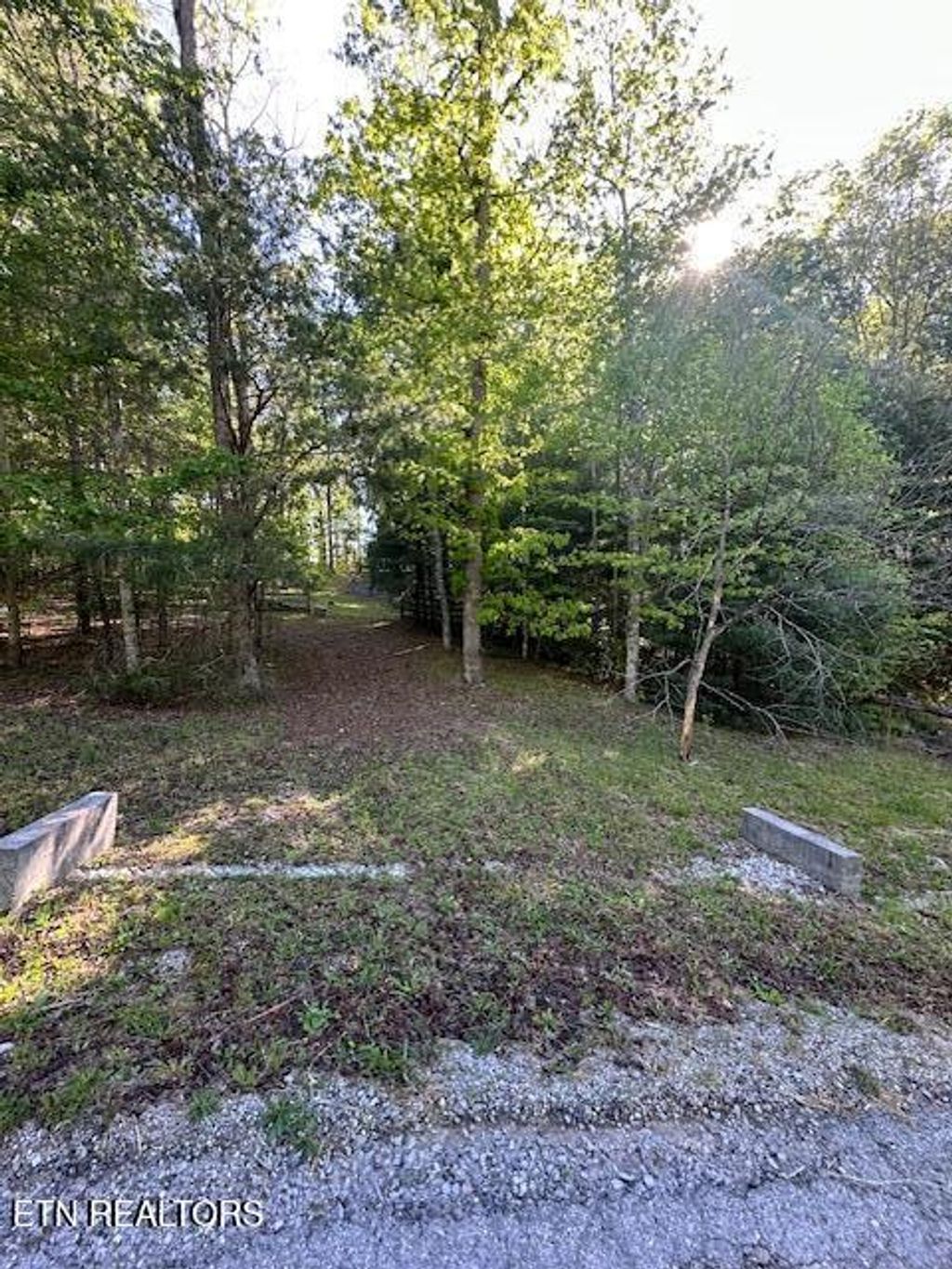 Photo of 500 Spruce Creek Drive, Jamestown, TN 38556 (MLS # 1338999)