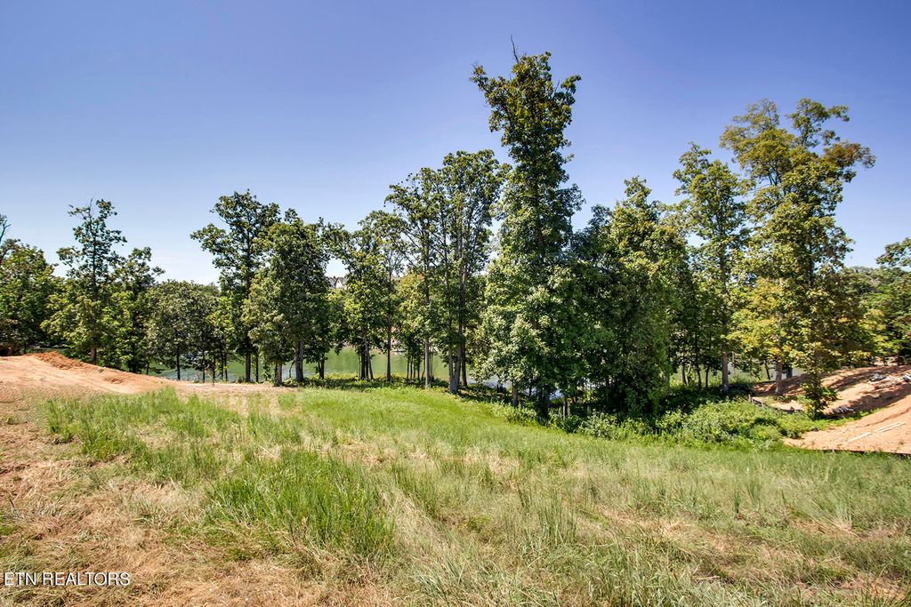 Photo of 1276 Bower Court, Lenoir City, TN 37772 (MLS # 1273804)