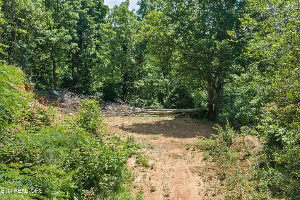 Photo of 520 Verless Ogle Rd, Sevierville, TN 37876 (MLS # 1345293)