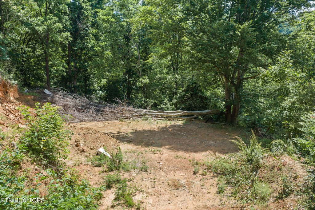 Photo of 520 Verless Ogle Rd, Sevierville, TN 37876 (MLS # 1345293)
