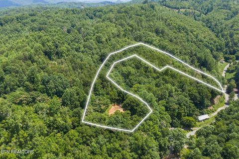 Photo of 520 Verless Ogle Rd, Sevierville, TN 37876 (MLS # 1345293)