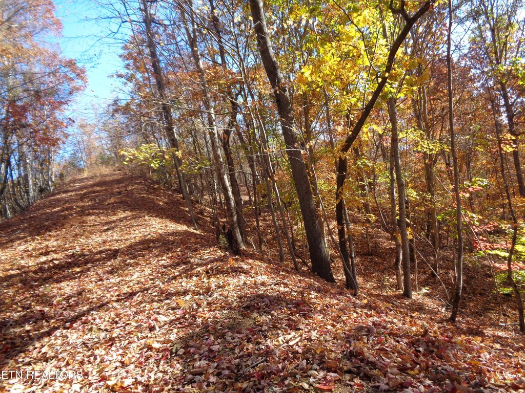 Photo of TWIN FEATHERS DR, Rockwood, TN 37854 (MLS # 1244781)