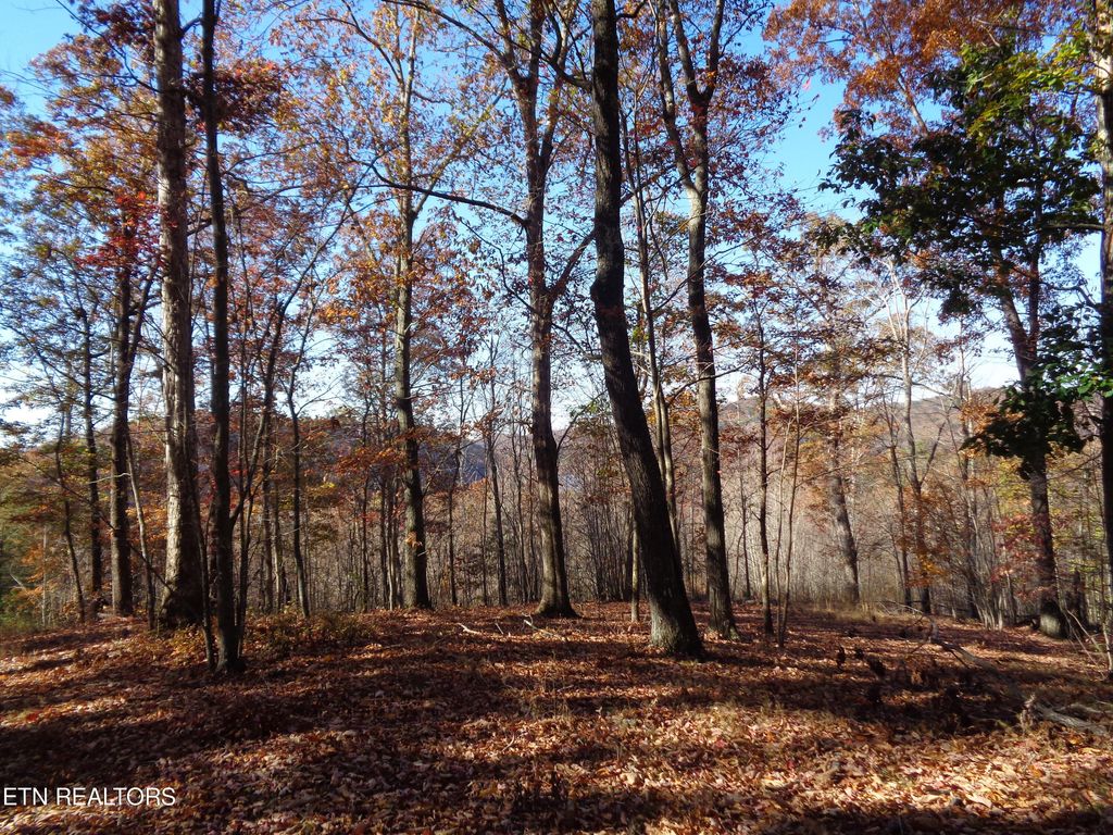 Photo of TWIN FEATHERS DR, Rockwood, TN 37854 (MLS # 1244781)