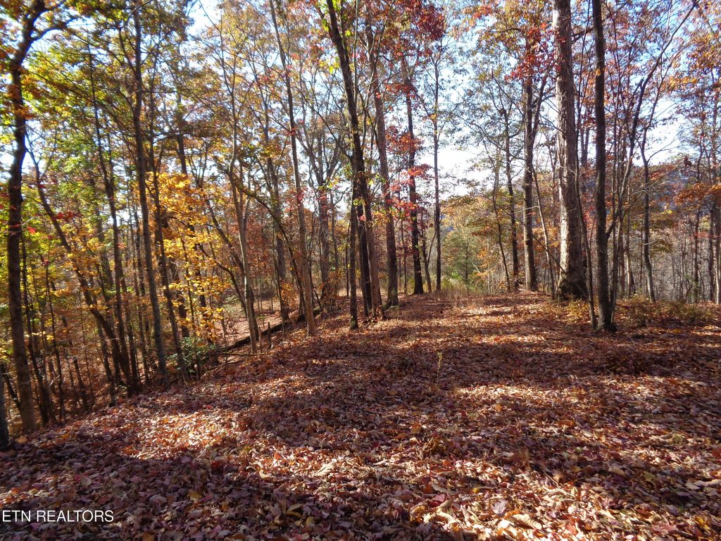 Photo of TWIN FEATHERS DR, Rockwood, TN 37854 (MLS # 1244781)