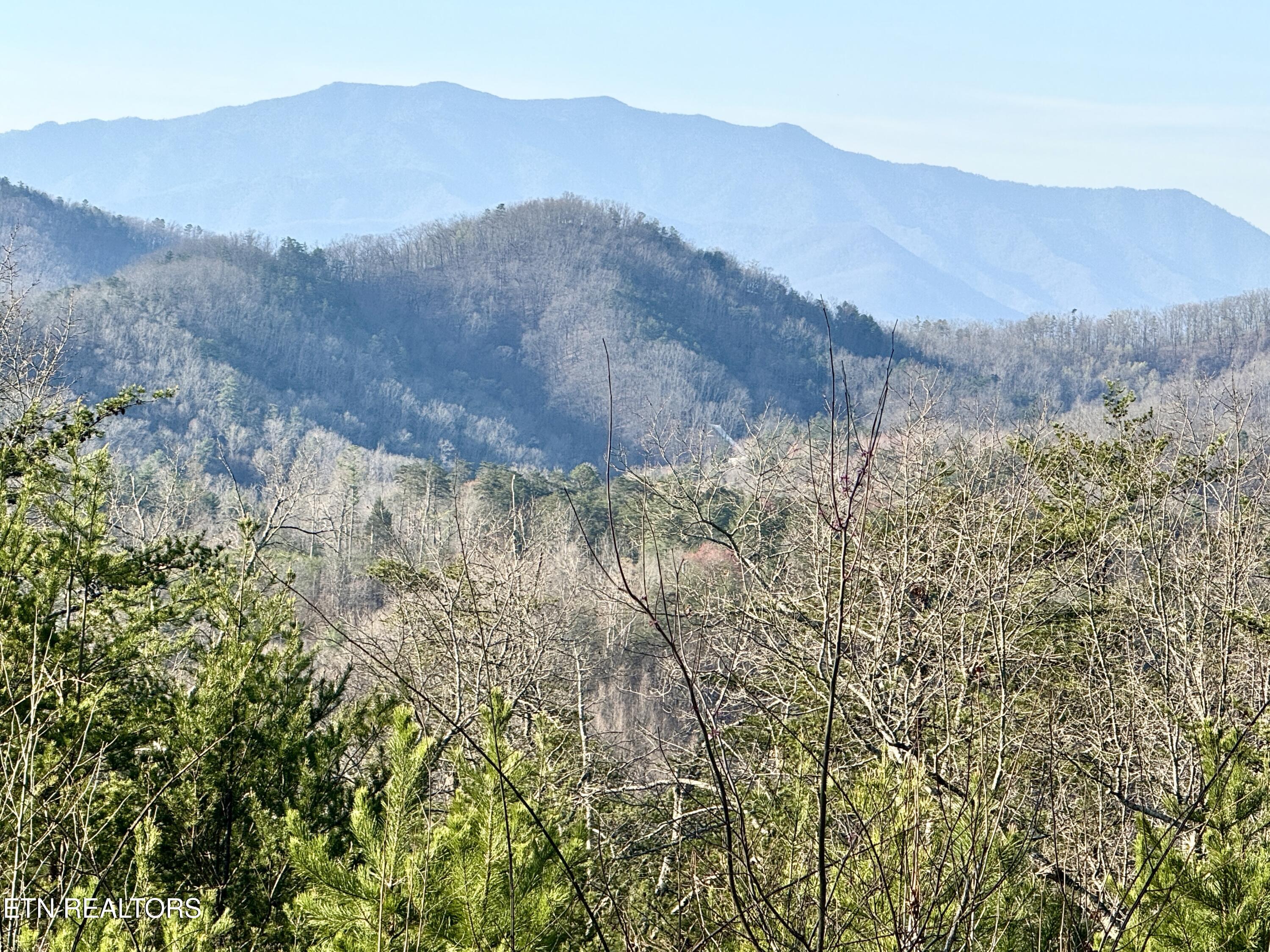 1033 Shell Mountain Rd