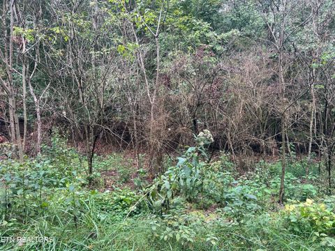 Photo of 30 Ridge Drive, Kingston, TN 37763 (MLS # 1317952)