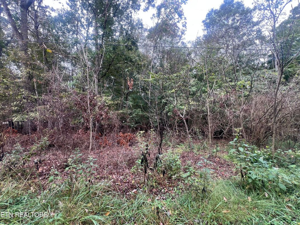 Photo of 30 Ridge Drive, Kingston, TN 37763 (MLS # 1317952)