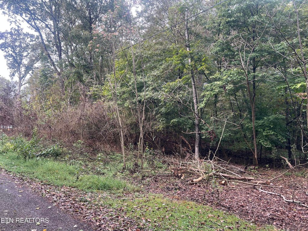 Photo of 30 Ridge Drive, Kingston, TN 37763 (MLS # 1317952)