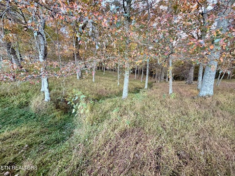 Tiny photo for Poke Patch Rd, Crossville, TN 38572 (MLS # 1359983)