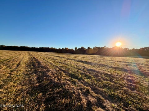 Tiny photo for Poke Patch Rd, Crossville, TN 38572 (MLS # 1359983)