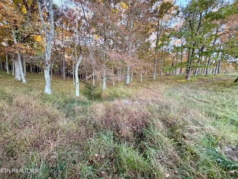 Tiny photo for Poke Patch Rd, Crossville, TN 38572 (MLS # 1359983)