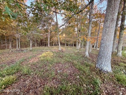 Tiny photo for Poke Patch Rd, Crossville, TN 38572 (MLS # 1359983)