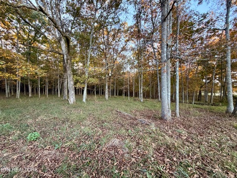 Tiny photo for Poke Patch Rd, Crossville, TN 38572 (MLS # 1359983)
