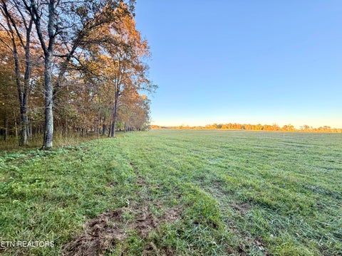 Tiny photo for Poke Patch Rd, Crossville, TN 38572 (MLS # 1359983)