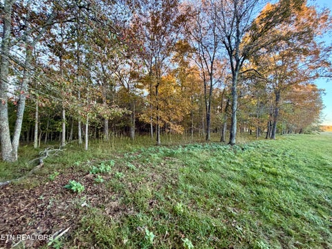 Tiny photo for Poke Patch Rd, Crossville, TN 38572 (MLS # 1359983)