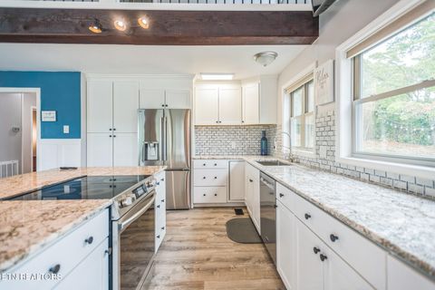 Tiny photo for 769 Gilmore Rd, Bean Station, TN 37708 (MLS # 1330437)