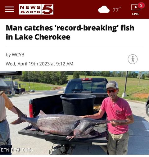 Tiny photo for 769 Gilmore Rd, Bean Station, TN 37708 (MLS # 1330437)