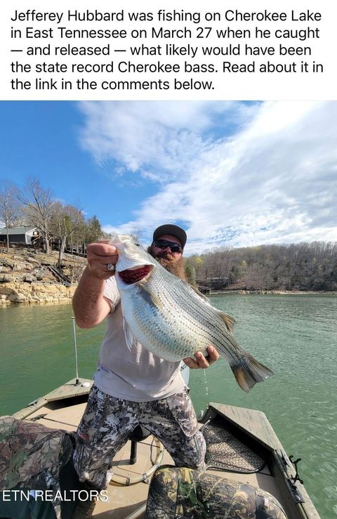 Tiny photo for 769 Gilmore Rd, Bean Station, TN 37708 (MLS # 1330437)