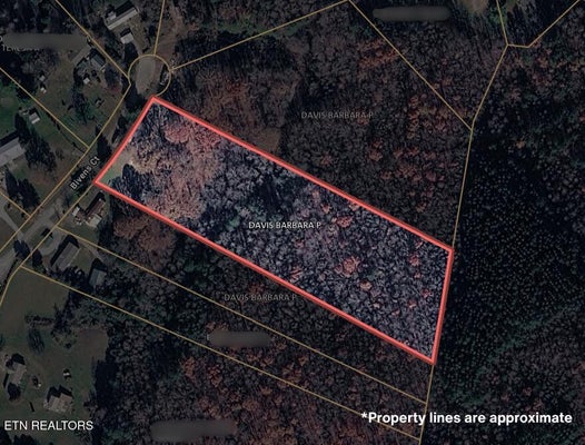 180 BIVENS CT, NIOTA, TN 37826 - Image bbbb79de16eb1091b309d94ab6b4739f/22395041