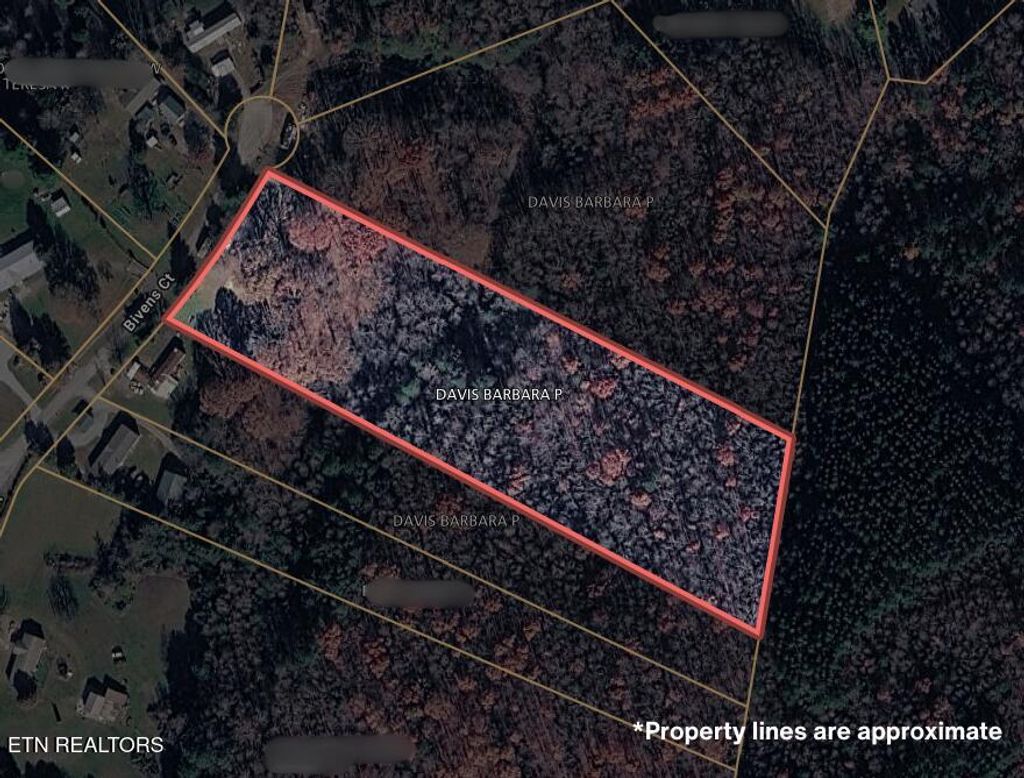 Photo of 180 Bivens Court, Niota, TN 37826 (MLS # 1342510)