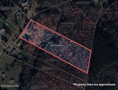 Photo of 180 Bivens Court, Niota, TN 37826 (MLS # 1342510)