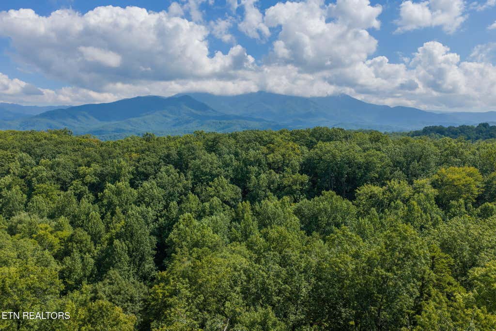 Photo of 2053 Settlers Ridge Way, Gatlinburg, TN 37738 (MLS # 1352455)