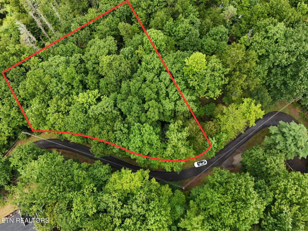 Photo of 920 Black Gum Gap Rd, Gatlinburg, TN 37738 (MLS # 1352647)