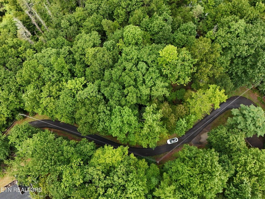 Photo of 920 Black Gum Gap Rd, Gatlinburg, TN 37738 (MLS # 1352647)