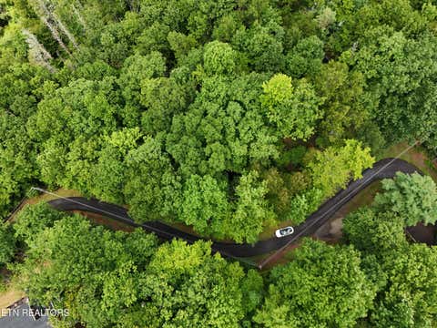 Photo of 920 Black Gum Gap Rd, Gatlinburg, TN 37738 (MLS # 1352647)