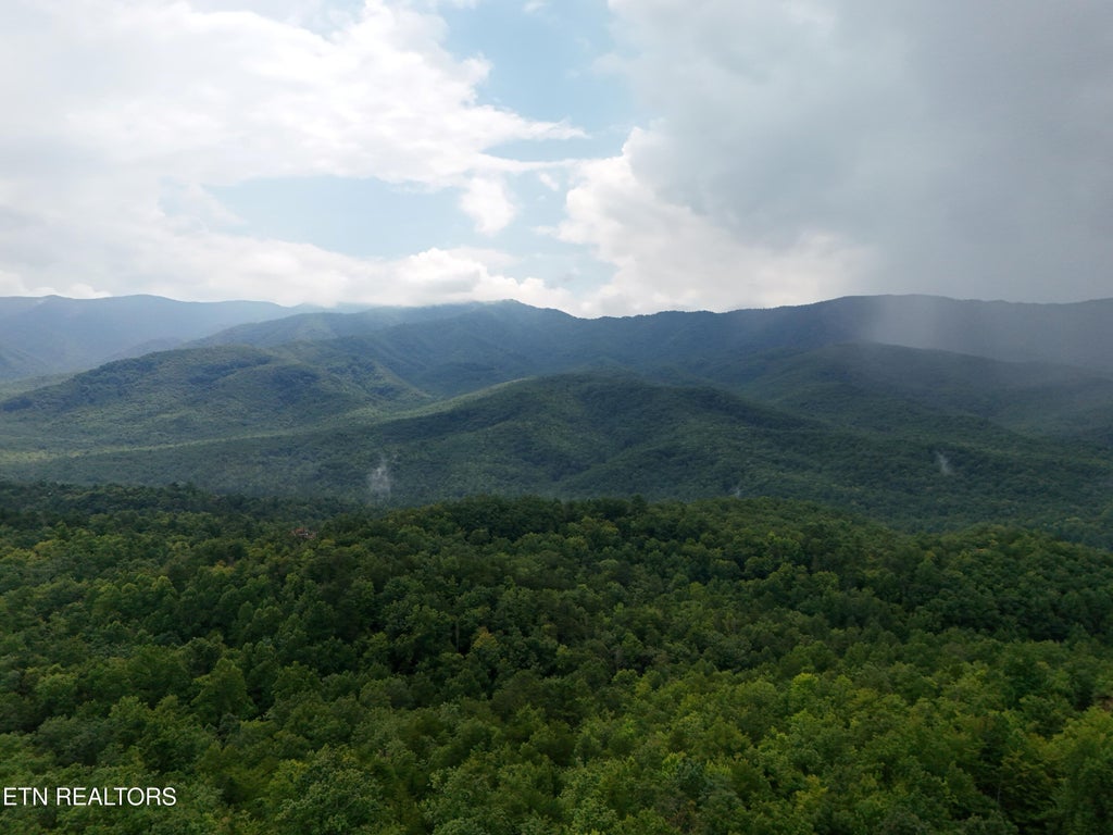 Photo of 920 Black Gum Gap Rd, Gatlinburg, TN 37738 (MLS # 1352647)