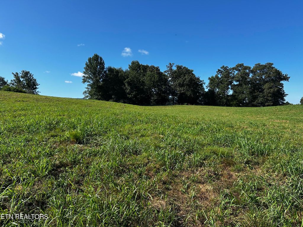 Photo of 2 Reliance Rd, Tellico Plains, TN 37385 (MLS # 1309886)