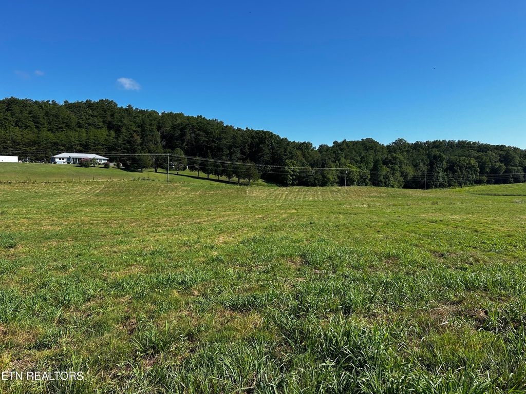 Photo of 2 Reliance Rd, Tellico Plains, TN 37385 (MLS # 1309886)