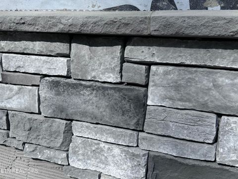 Tiny photo for 203 Dublin Lane, Crossville, TN 38558 (MLS # 1336123)