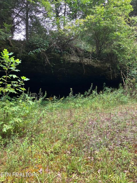 Tiny photo for 381 Lakewood Drive, Jamestown, TN 38556 (MLS # 1349643)