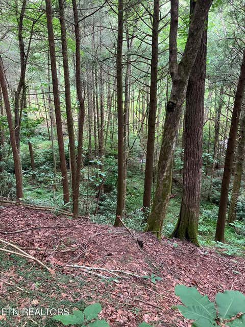 Tiny photo for 381 Lakewood Drive, Jamestown, TN 38556 (MLS # 1349643)