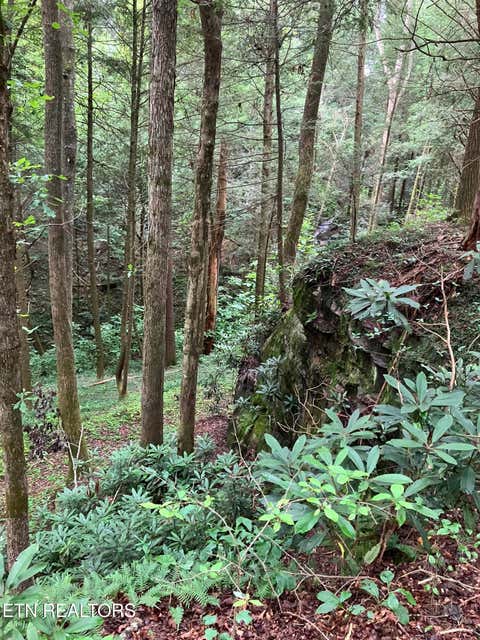 Tiny photo for 381 Lakewood Drive, Jamestown, TN 38556 (MLS # 1349643)