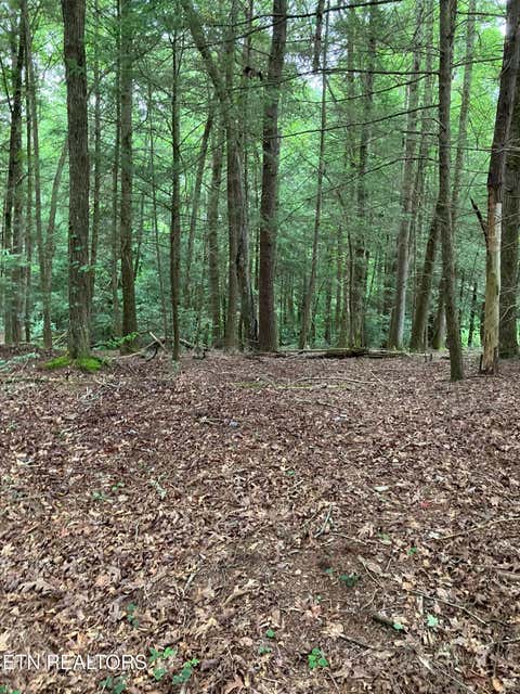 Tiny photo for 381 Lakewood Drive, Jamestown, TN 38556 (MLS # 1349643)