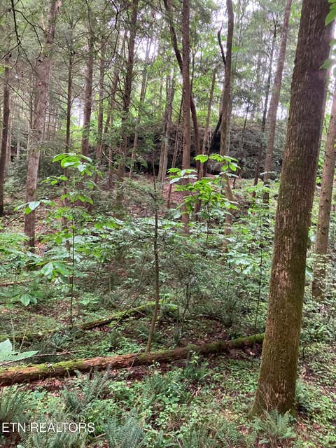 Tiny photo for 381 Lakewood Drive, Jamestown, TN 38556 (MLS # 1349643)