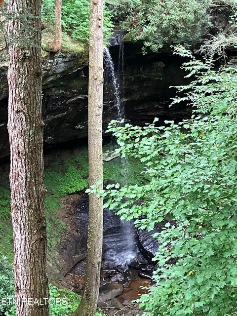 Tiny photo for 381 Lakewood Drive, Jamestown, TN 38556 (MLS # 1349643)