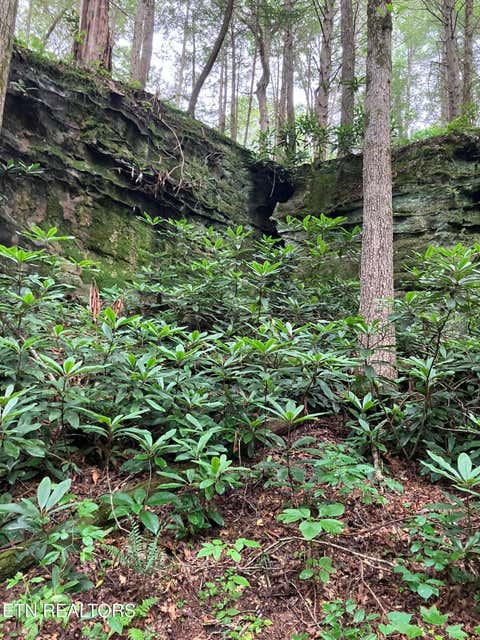 Tiny photo for 381 Lakewood Drive, Jamestown, TN 38556 (MLS # 1349643)