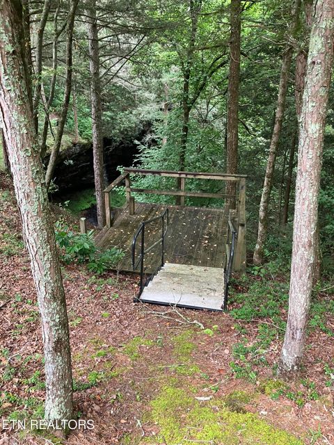 Tiny photo for 381 Lakewood Drive, Jamestown, TN 38556 (MLS # 1349643)