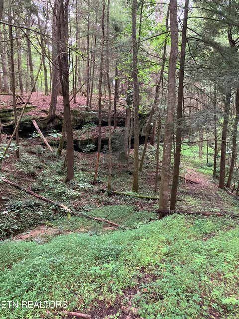 Tiny photo for 381 Lakewood Drive, Jamestown, TN 38556 (MLS # 1349643)